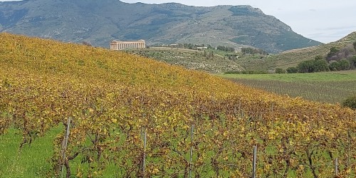 Vinresa till Sicilien