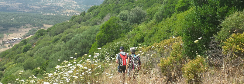 Vandringsresa Södra Sardinien-9_web_20140625_142823.jpg