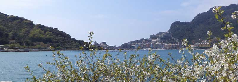 Vandringsresa till Cinque Terre och Ligurien-web_3-portovenere-da-isola-.jpg