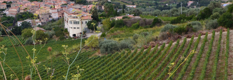 Cykelresa till Sardinien cykla på egen hand, Sardiniens Västkust-web_35.jpg